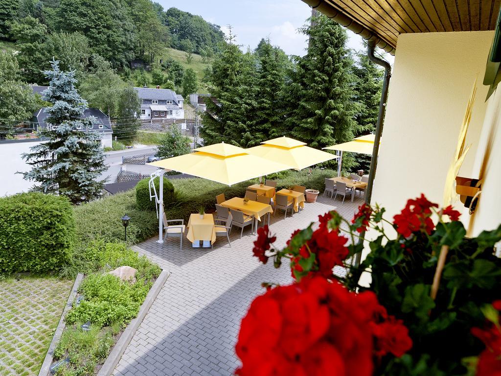 Hotel Sonne Seiffen Extérieur photo