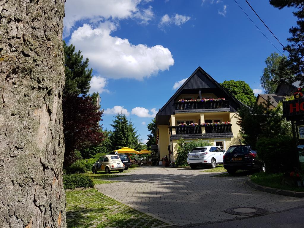 Hotel Sonne Seiffen Extérieur photo